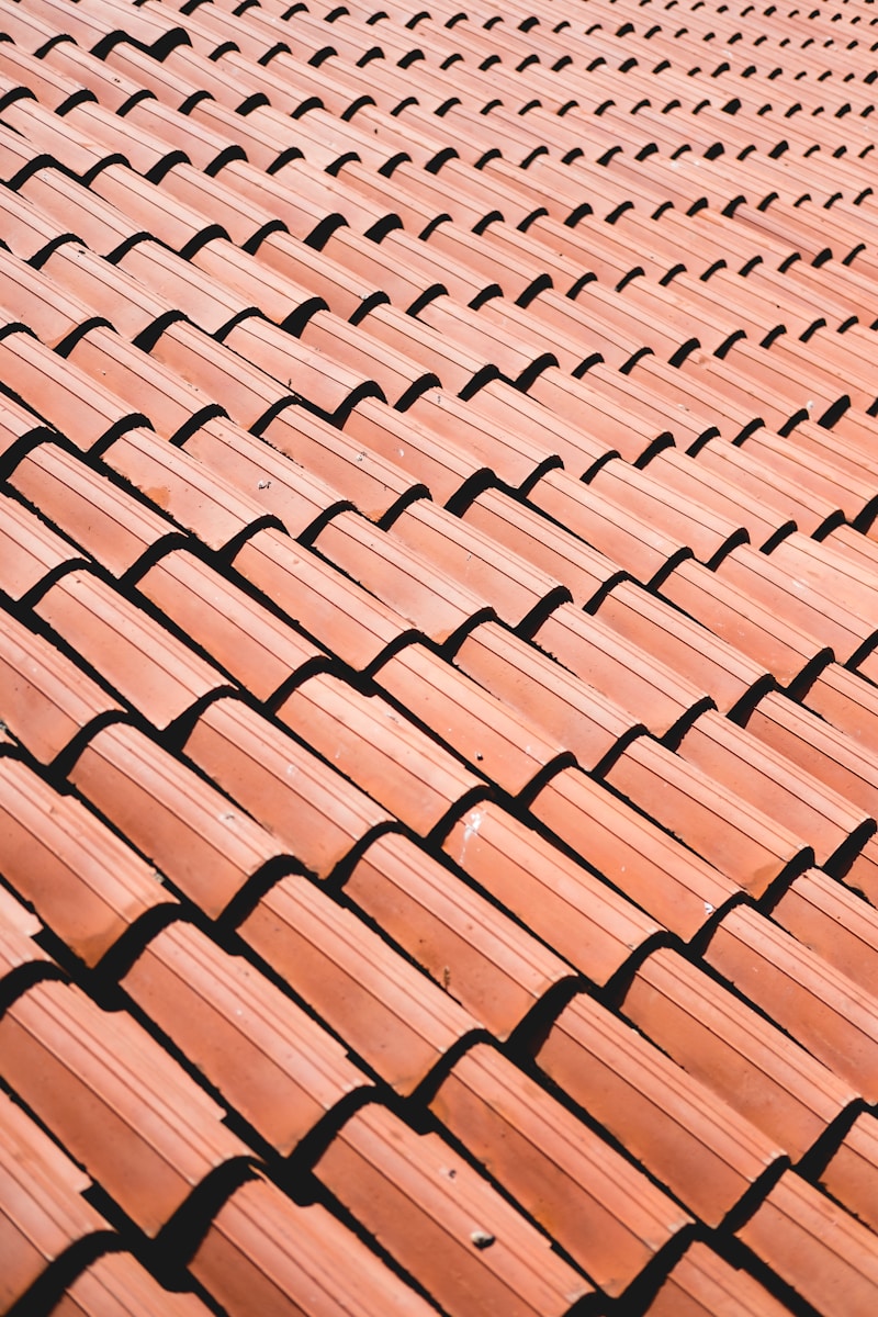 Photo by Robin Joshua brown roof tiles